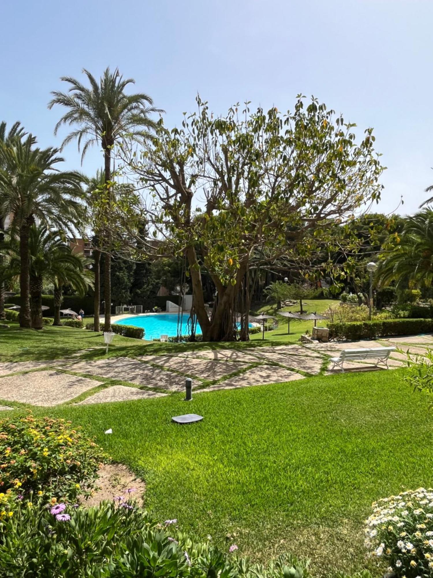 Parque La Chicharra Near Alicante And Beach Exteriér fotografie